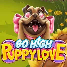 Go High Puppy Love online slot from RubyPlay – play at safecasinoat.at